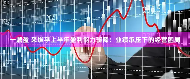一鼎盈 采埃孚上半年盈利能力骤降：业绩承压下的经营困局
